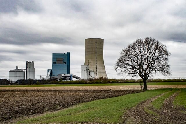 Das Kohlekraftwerk Datteln 4 steht mitten in der Landschaft, im Vordergrund ein einzelner Baum, graue Wolken am Himmel.