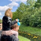 Zuschauer am Sesekeufer: Die Enten kommen diesmal relativ schnell voran.