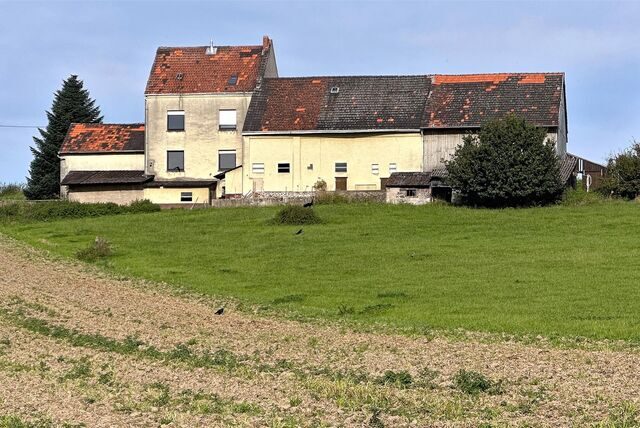 Ein Bauernhof steht am Ende eines Feldes.