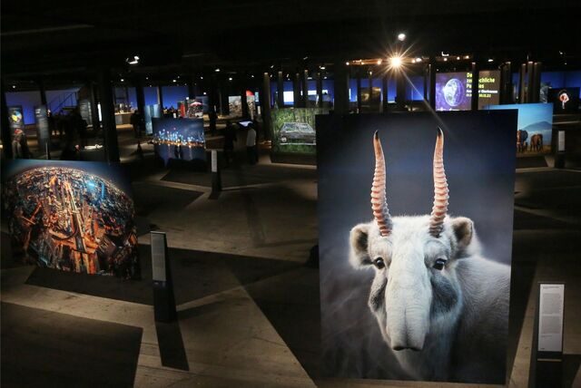 Ein Blick in die Ausstellung „Das zerbrechliche Paradies“ im Gasometer Oberhausen.