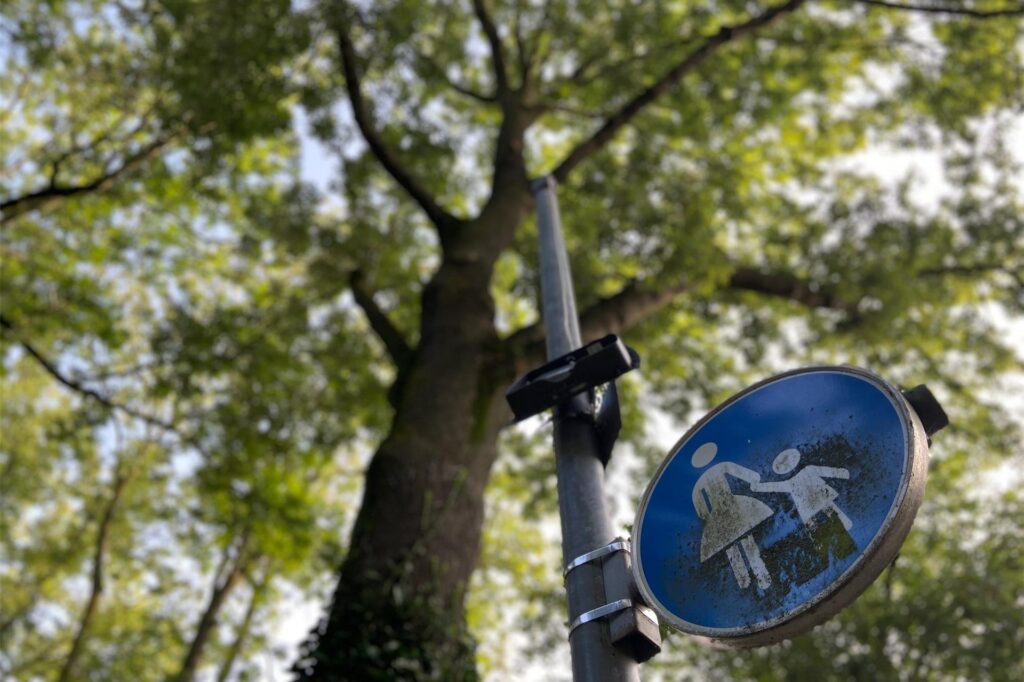 Baum, Stadtpark Schwerte Baum, Stadtpark Schwerte