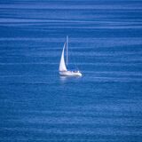 Segelboot