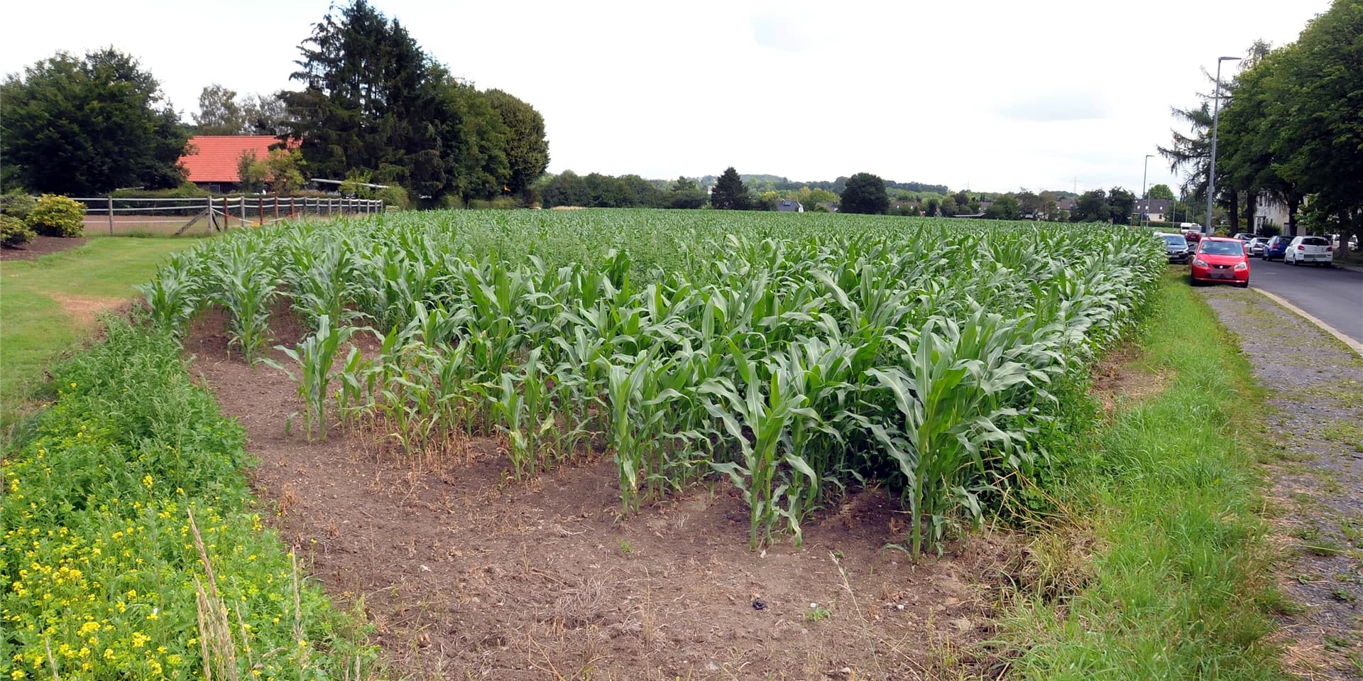 Die Immobilien-Entwicklungsgesellschaft Schwerte hat rund 30.000 Quadratmeter Ackerfläche auf der Schwerterheide gekauft.