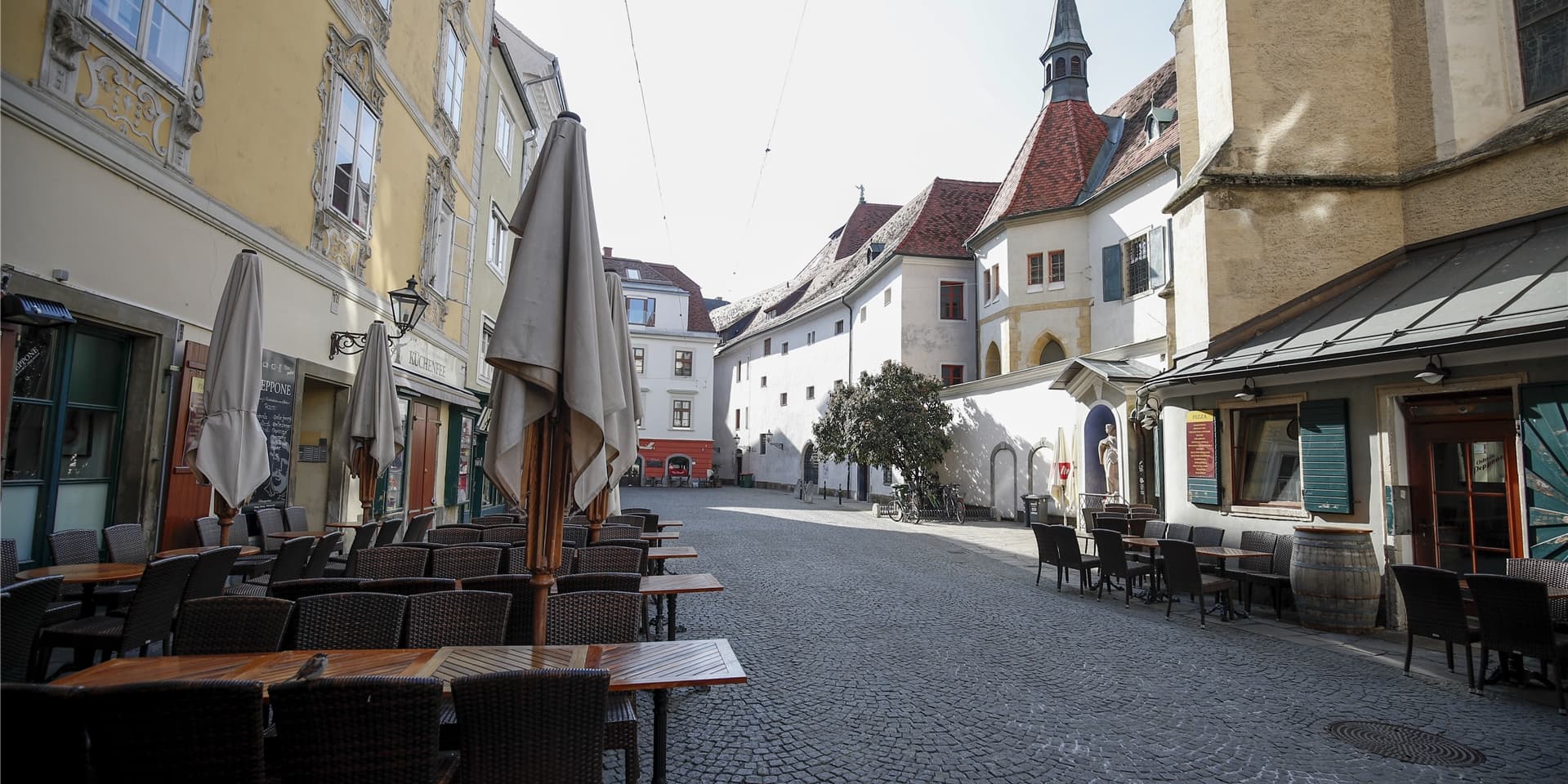 In Graz wurden zwei Katzen gehäutet. (Symbolbild)
