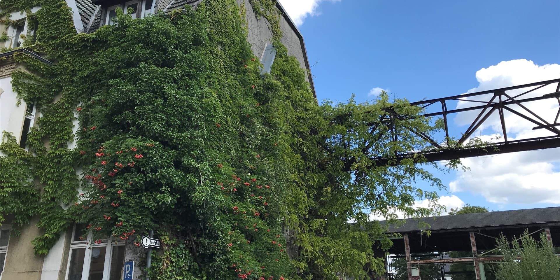 Die alte Fabrikantenvilla wird seit Jahren überwuchert und steht leer.