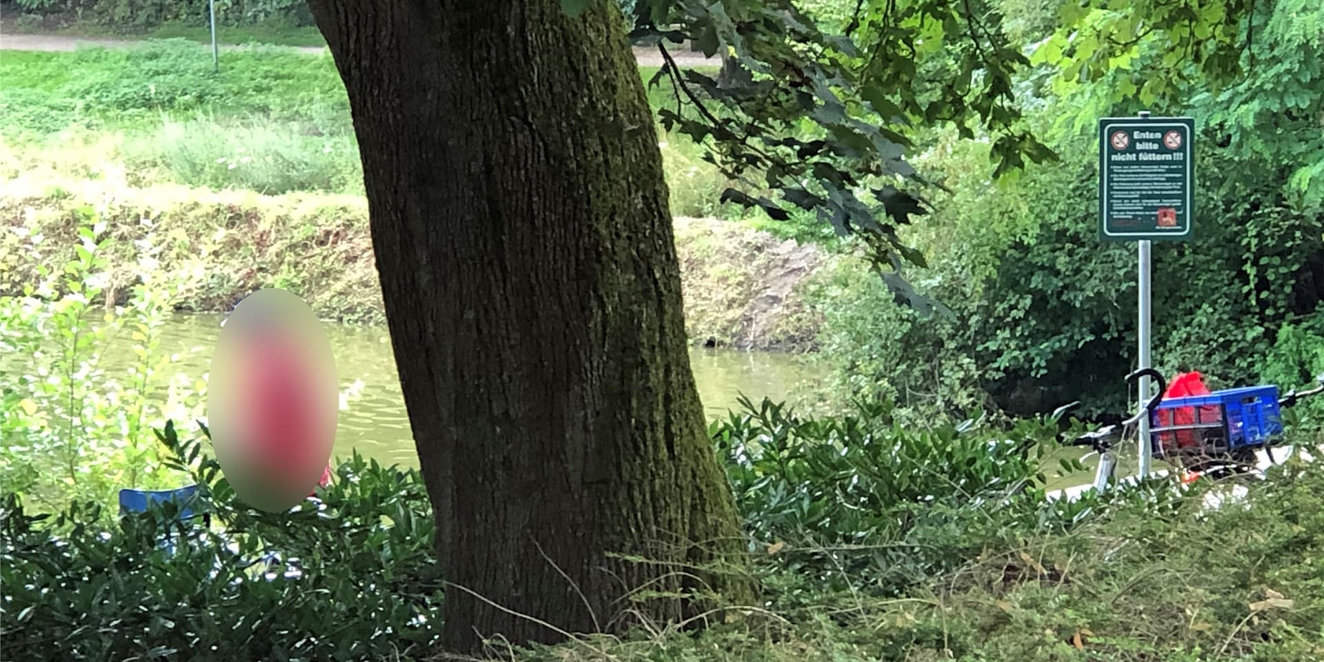 Rechts das Verbotsschild, links die Person, die fleißig Enten und Gänse am Stadtsee Werne füttert.
