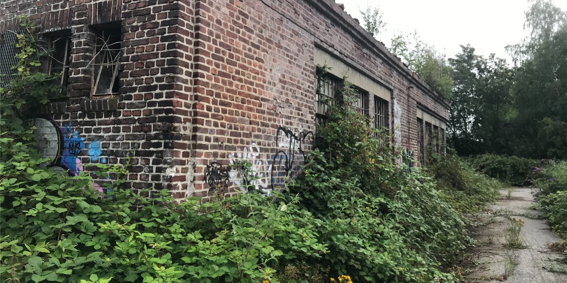 Die ehemalige EAW Anheizhalle in Schwerte liegt versteckt und wuchert immer mehr zu. Sie ist nur eines der maroden Gebäude in Schwerte.
