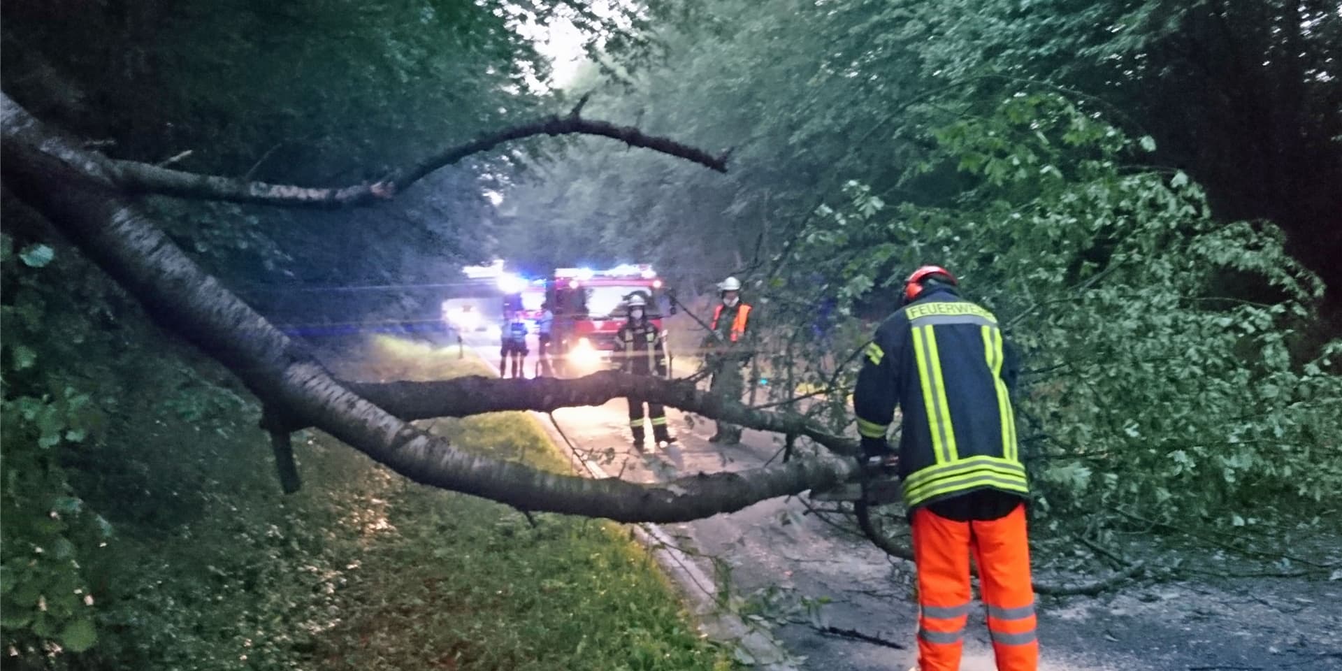 Mit Motorkettensägen wurde der Baum zerlegt, der auf die Wesseler Straße gestürzt war.