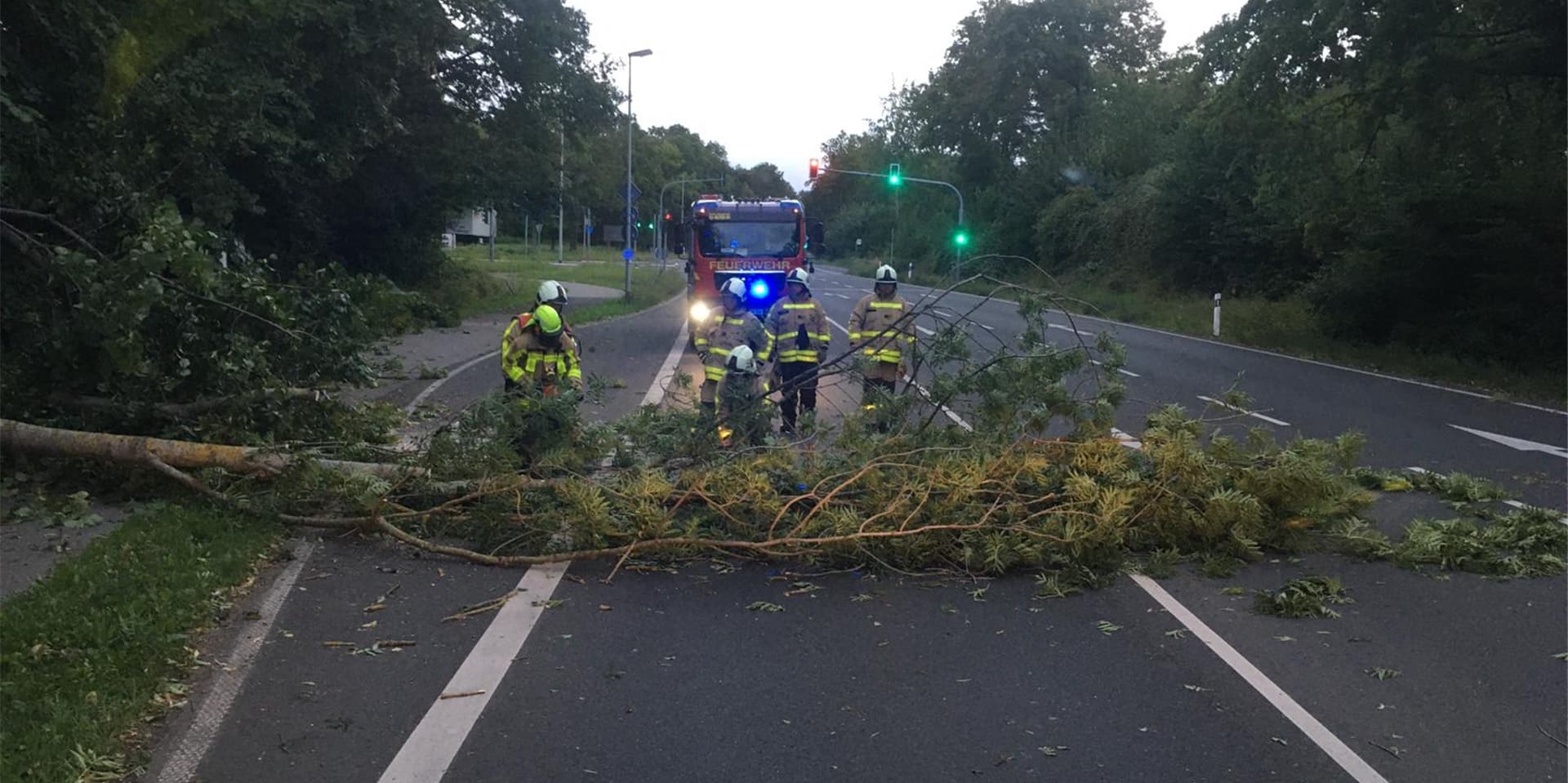 Umgestürzte Bäume behinderten den Verkehr in ganz NRW.