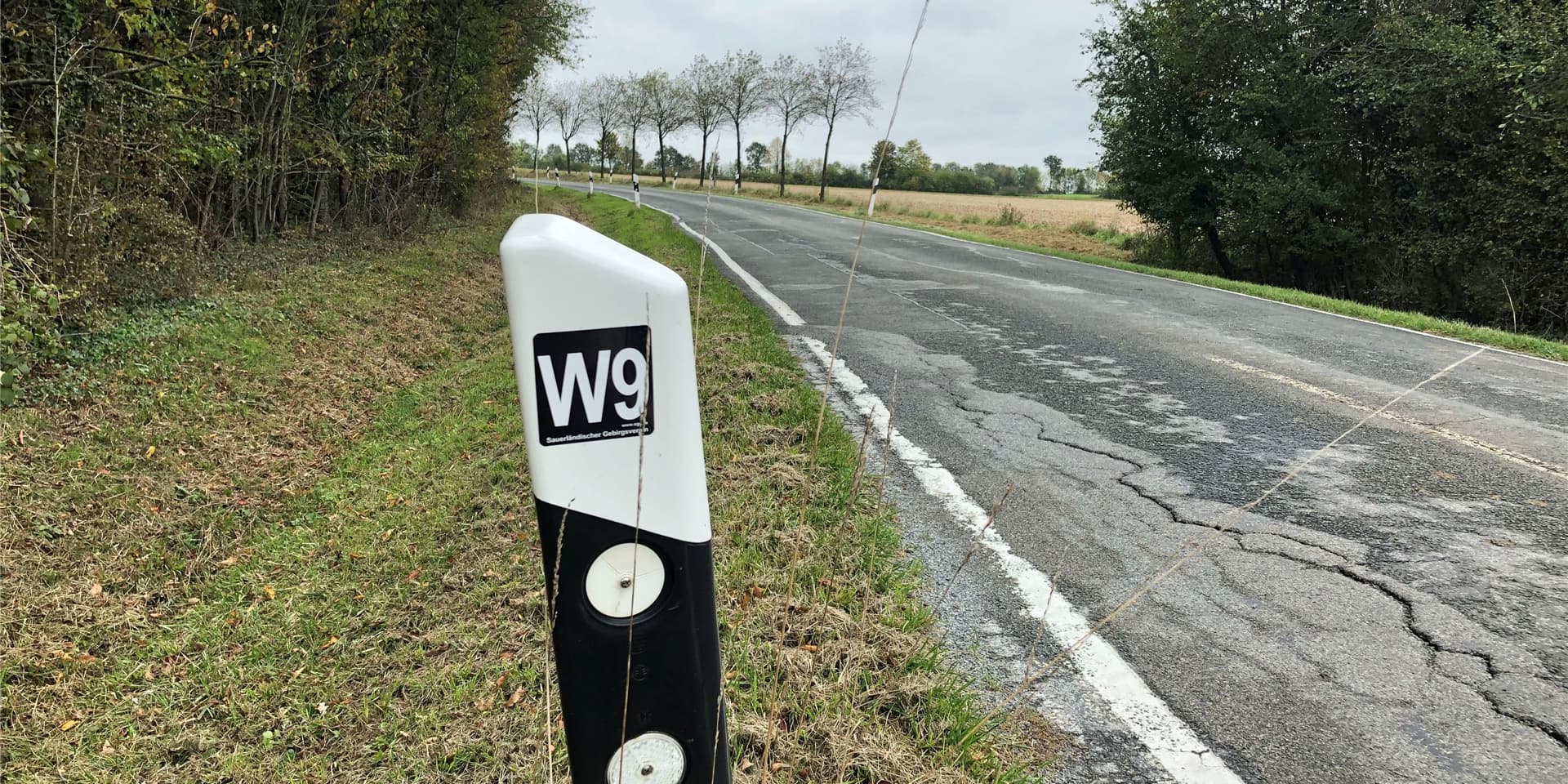 Der erste halbe Kilometer (je nach Startrichtung) des W9 führt längs der Wesseler Straße. Dann biegt man links in den Wald ab. Auch diese Route ist hervorragend in beide Richtungen beschildert.