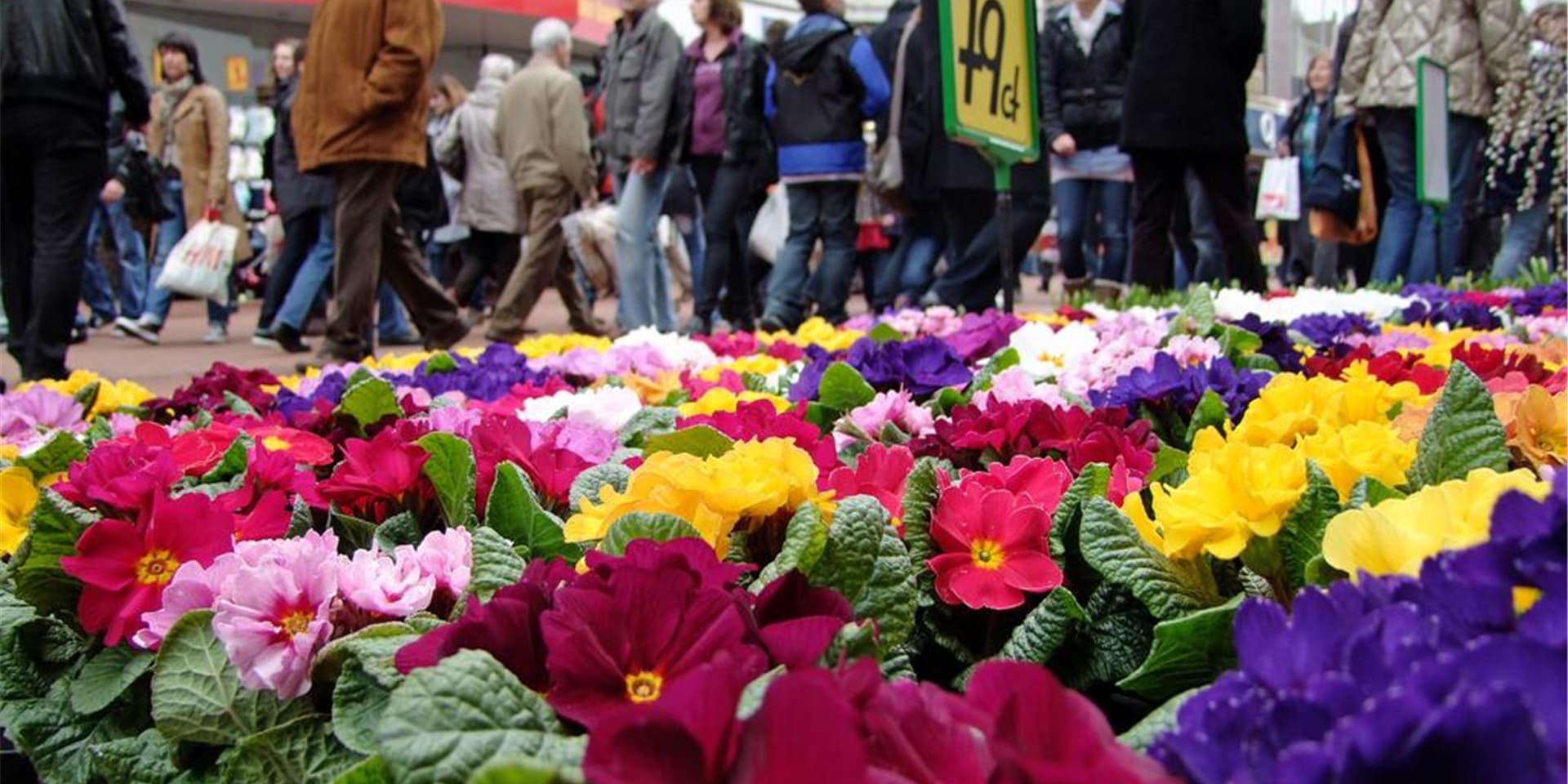Wer beim „Holländer“ Blumen erwerben möchte, muss am Freitag seine Maske mitnehmen.