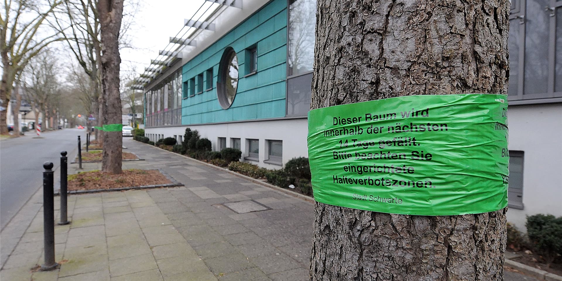 Mit Banderolen weist die Stadt auf die in Zukunft gefällten Bäume hin.
