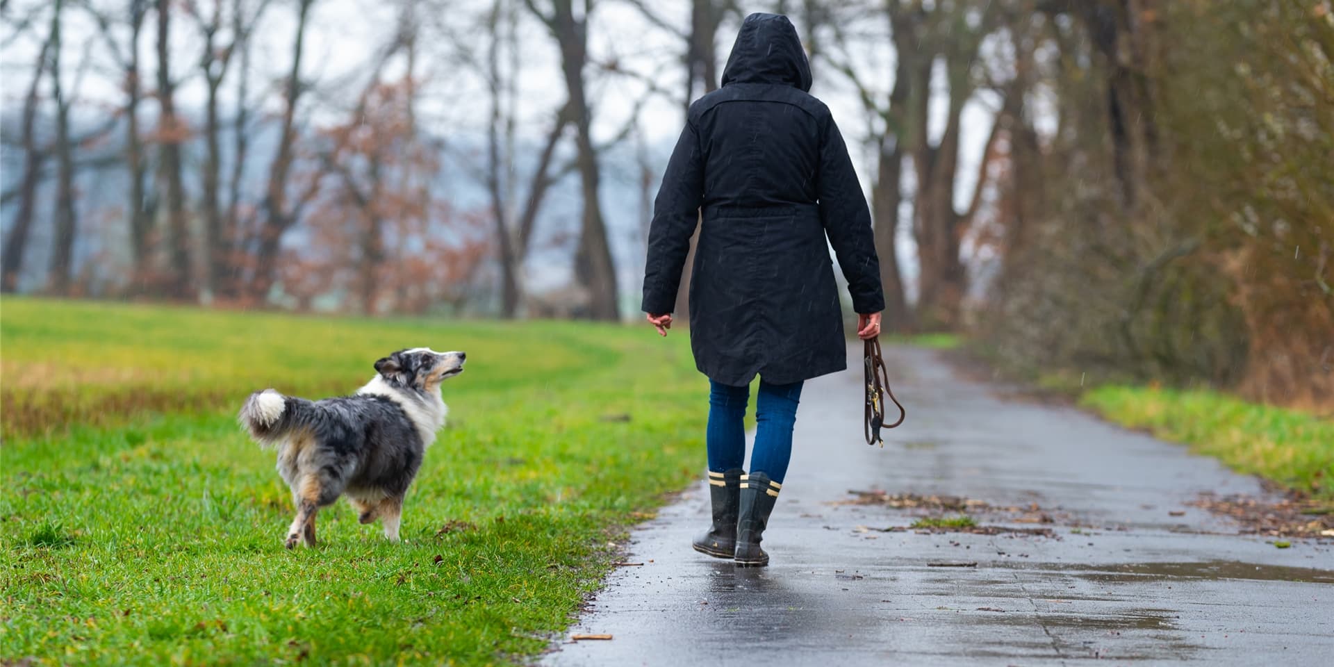 „Außerhalb der im Zusammenhang bebauten Ortsteile“, so heißt es in der Ordnungsbehördlichen Verordnung, dürfen Hunde in Fröndenberg auch von der Leine gelassen werden.