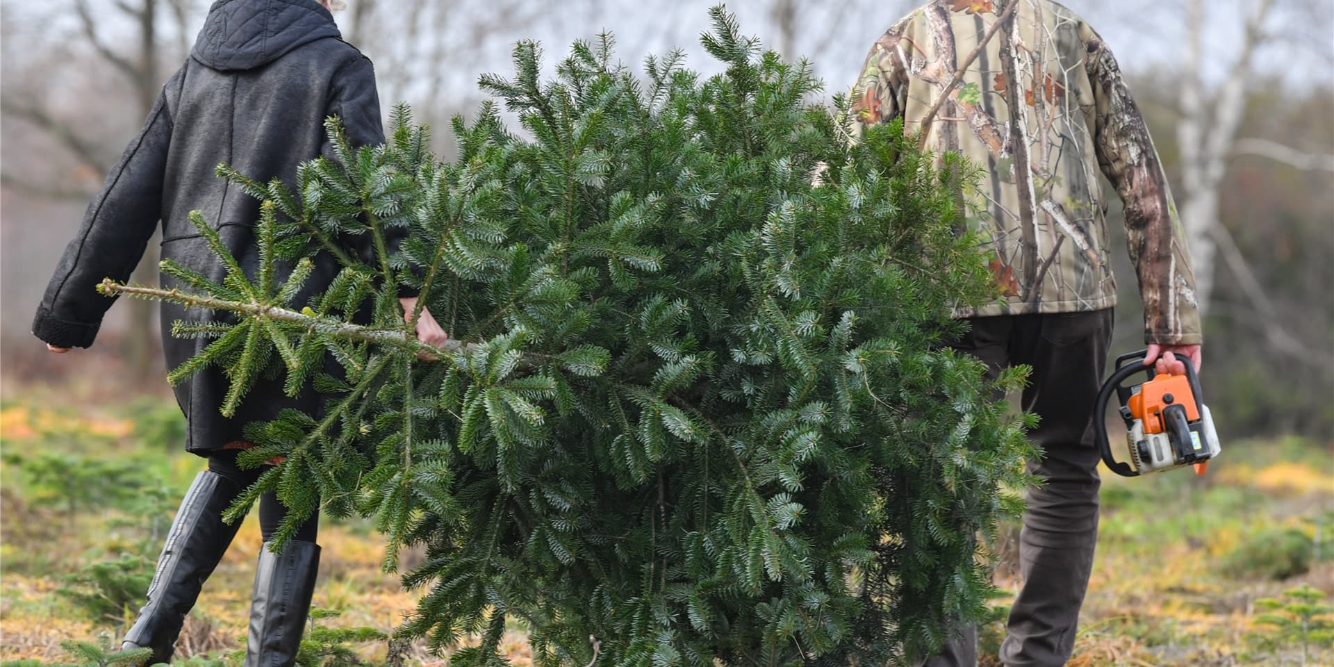 Wer seinen Baum nicht einfach kaufen, sondern selber erlegen möchte, kann das auch im Corona-Winter tun.