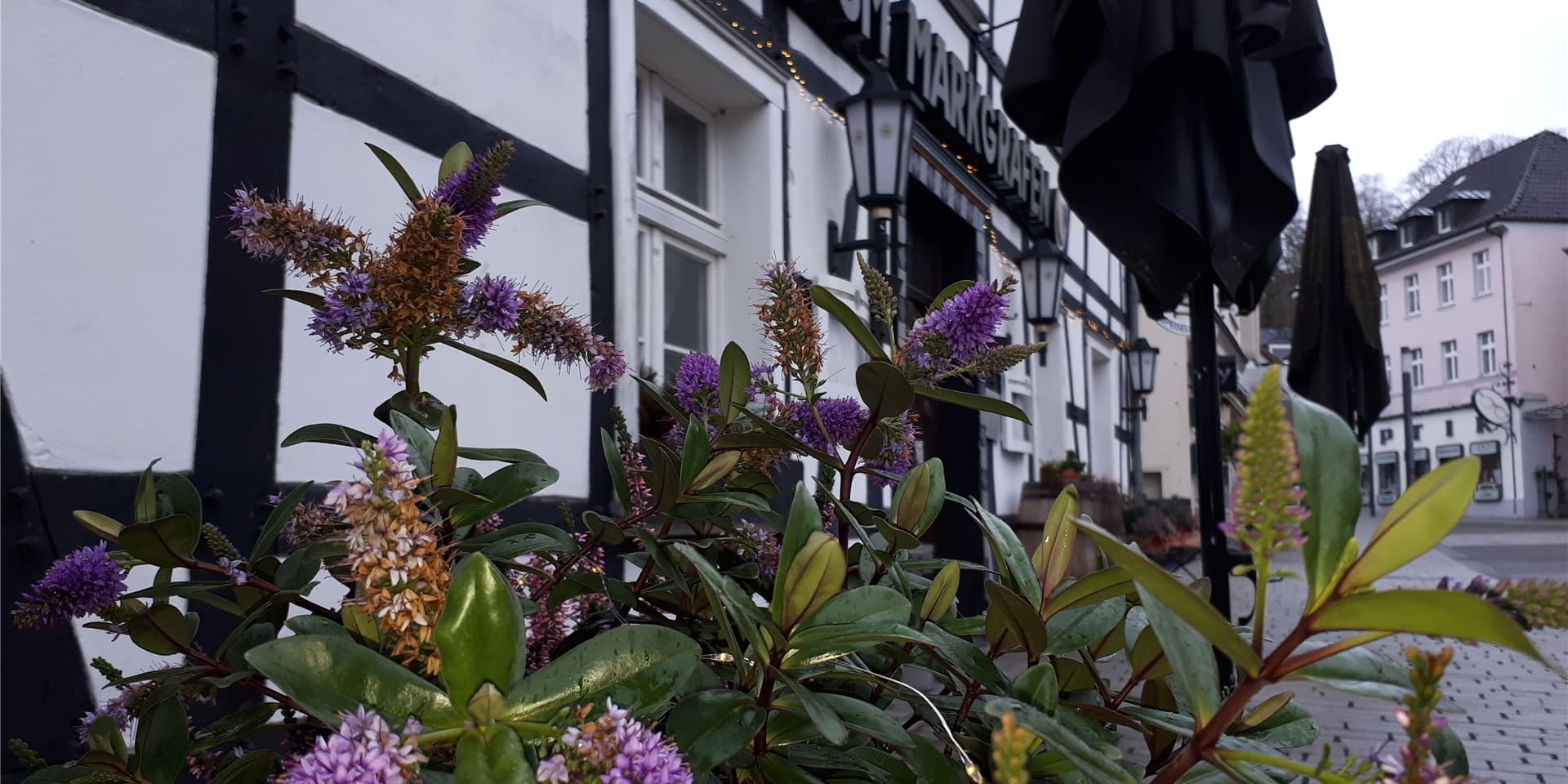 Die Lichterkette in den Blumenkästen vor dem Markgrafen ist fein und am Tag kaum zu sehen, sorgt in der Nacht jedoch für weihnachtliche Stimmung.