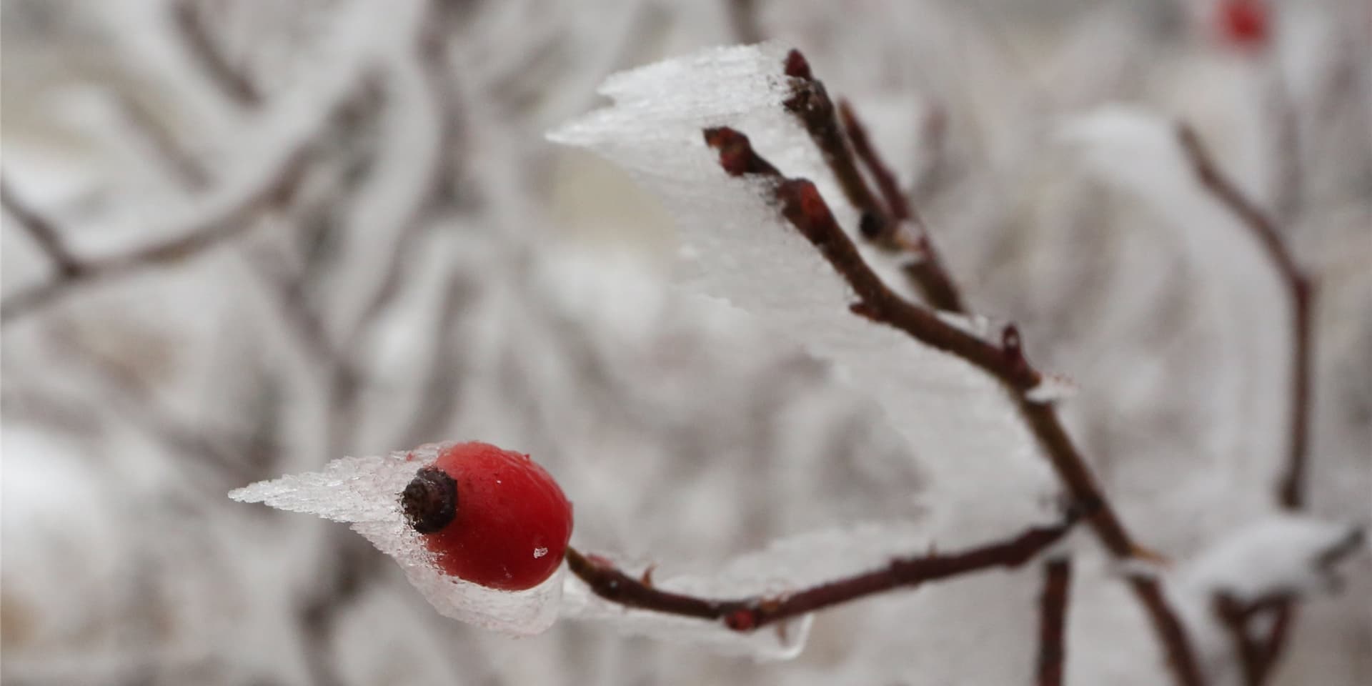 In NRW droht an diesem Wochenende ein Wintereindruck.