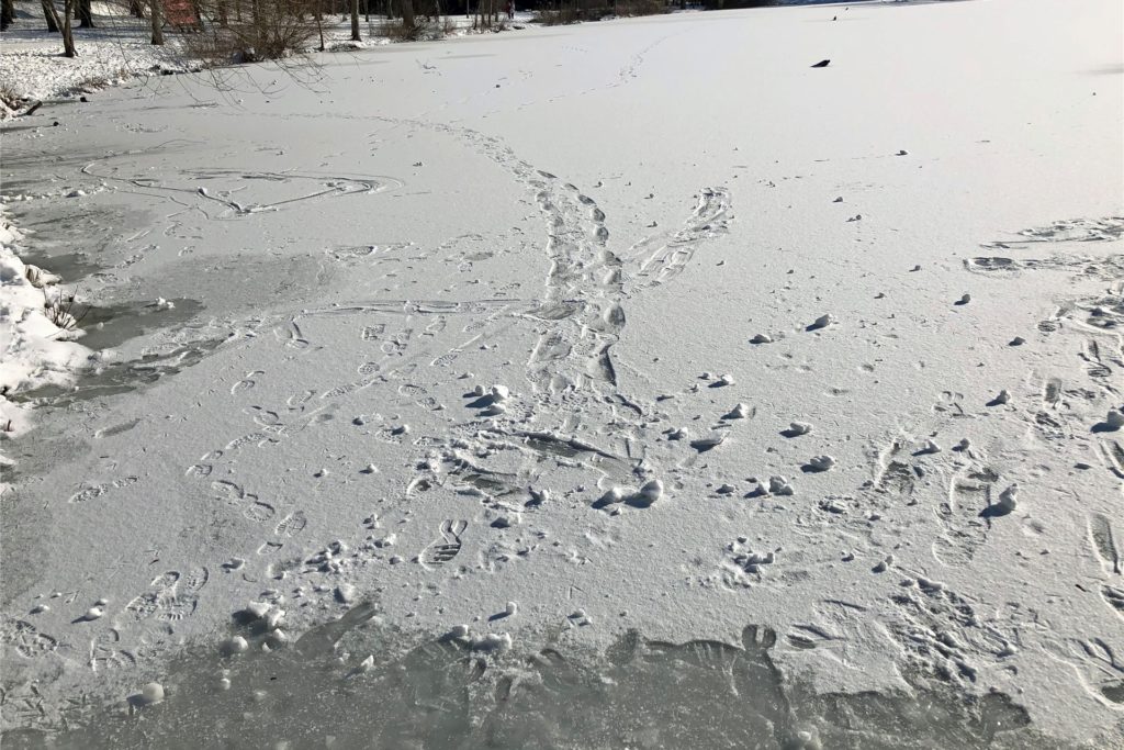 Wagemutige haben die Eisfläche des Stadtsees in Werne betreten. Die Feuerwehr warnt eindringlich davor.