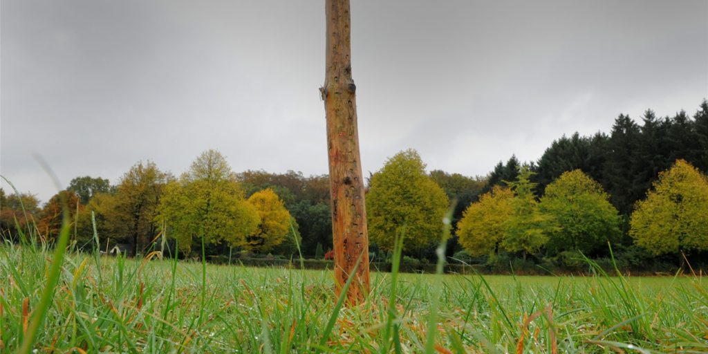 title attribut Die Fläche für den Babywald liegt neben dem Villigster Friedhof in westlicher Richtung.
