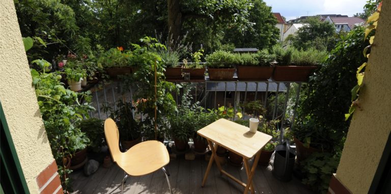 Im Frühling und Sommer freuen sich viele Gartenbesitzer aufs Entspannen auf der eigenen Terrasse.