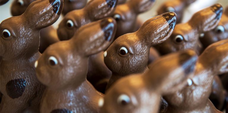 Schokohasen sind Tradition zu Ostern und werden dann auch gerne an die Liebsten verschenkt.