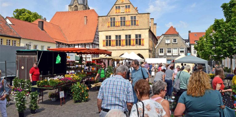 Der für Mitte Mai geplante Blumen- und Spargelmarkt in Werne fällt aus. Ein Ersatztermin wird diskutiert.