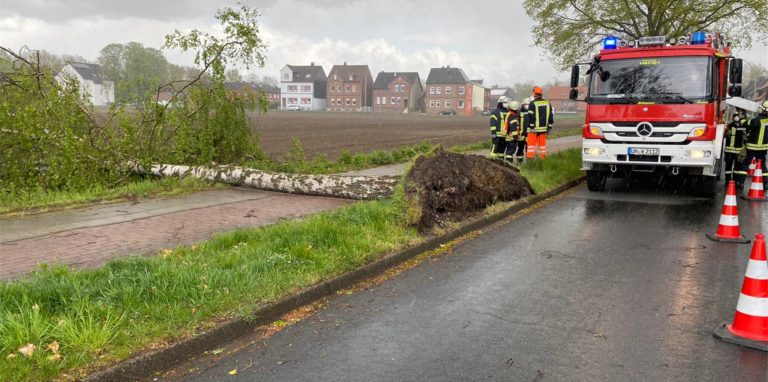 Sturmtief Eugen hat am Dienstagnachmittag eine Birke am Fürstenhof in Werne entwurzelt.