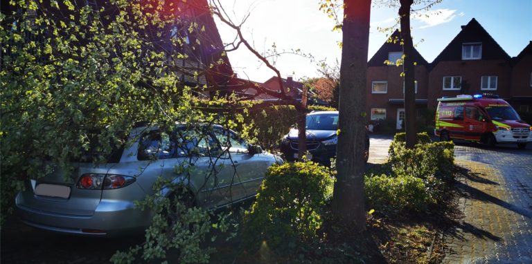 An der Käthe-Kollwitz-Straße hatte eine Baumkrone ein Auto unter sich begraben.