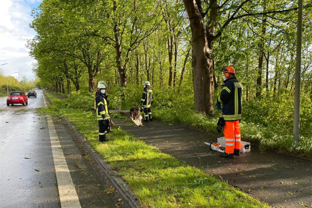 An der Kamener Straße war am frühen Dienstagabend ein Ast auf die Fahrbahn gefallen.