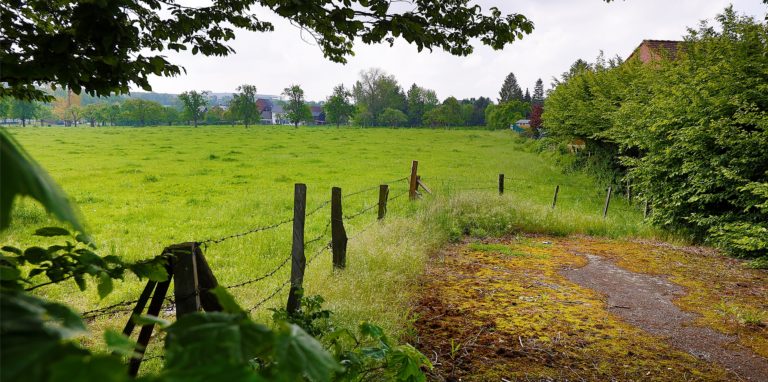 Eine Baulücke sieht anders aus: Das bisherige Genehmigungsverfahren für den Netto-Neubau auf dieser Wiese neben dem Wellenbadparkplatz wird wohl vor Gericht keinen Bestand haben.