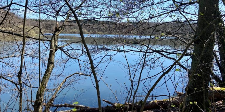 An der Westerwälder Seenplatte haben die Ausflügler die Wahl, welches Gewässer sie umrunden möchten. Wer gut zu Fuß ist, kann gleich mehrere in seine Wandertour einbauen.