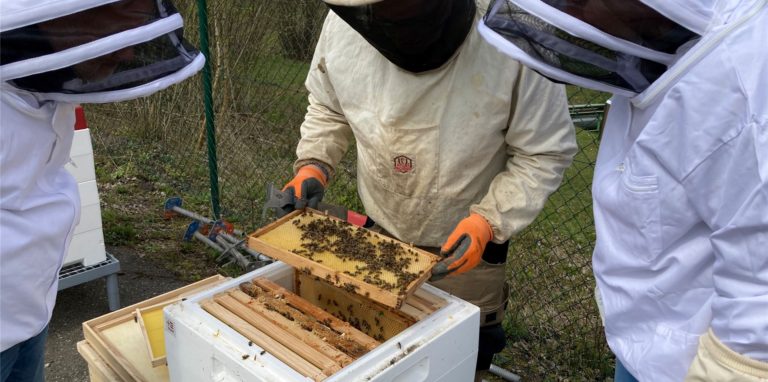 Peter Hubbertz und Martin Fricke schauen sich mit Imker Ludger Homann aus Bork die Bienenstöcke auf dem Trianel Kraftwerksgelände in Lünen an.