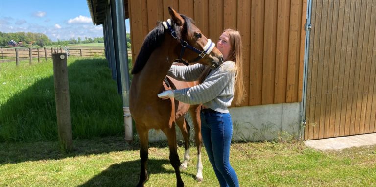 Dreamy und seine Besitzerin Lisa B. gehen gerne mal gemeinsam spazieren. Vor zwei Wochen kam es allerdings zu einem Unfall.