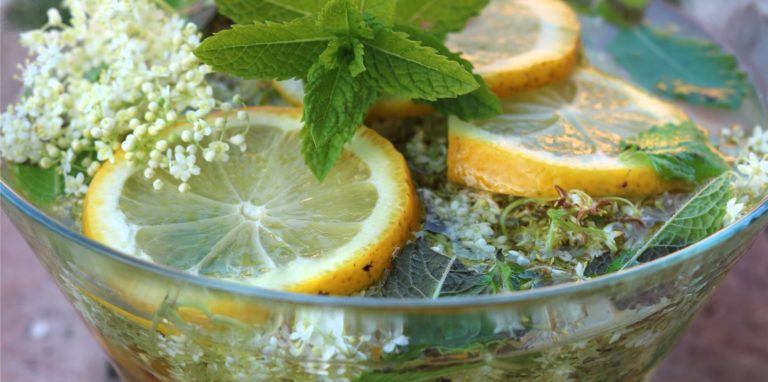Beim Sirup sind der Fantasie keine Grenzen gesetzt: mit Zitronenscheiben und Minzblättern dekoriert wird er zum echten Hingucker. Mit Mineralwasser vermischt wird Sirup zum erfrischenden Sommerdrink.