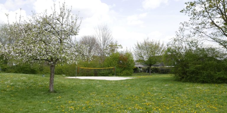 Der Park an der Bergstraße soll umgestaltet werden. Es gibt zahlreiche Wünsche der Heeren-Werver, wie er attraktiver werden kann.