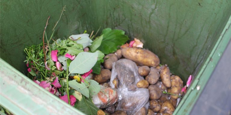 Einen Großteil der Kartoffeln, die eine Schwerterin gekauft hat, musste sie im Müll entsorgen.