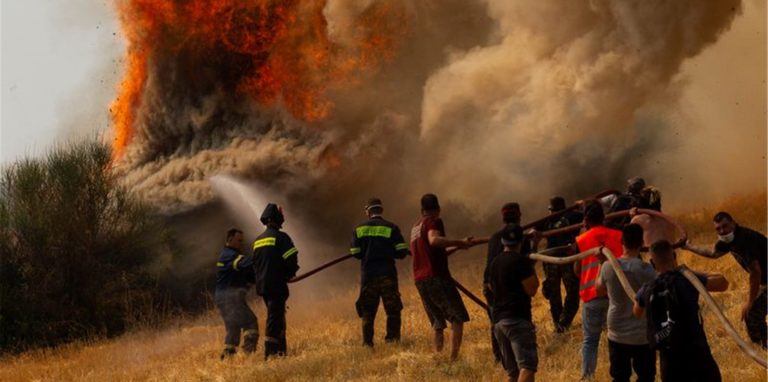 Feuerwehrleute und Freiwillige versuchen ein Feuer in Afidnes, etwa 30 Kilometer von der griechischen Hauptstadt Athen entfernt, zu löschen.