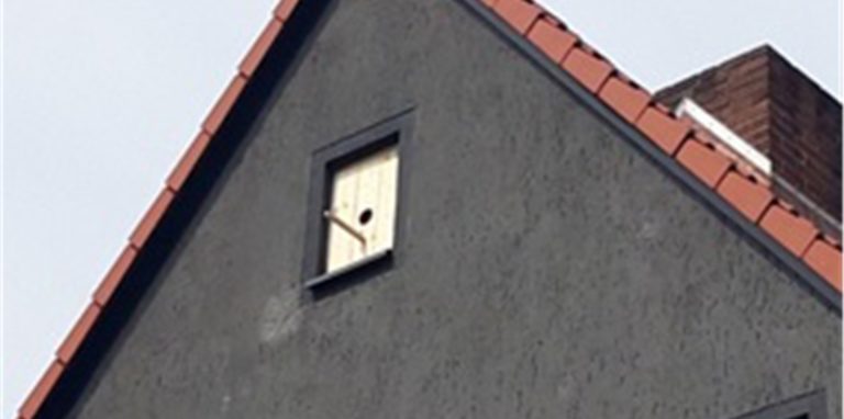 Dieses Nistangebot soll die Dohlen im kommenden Frühjahr vom Schornstein weg locken.