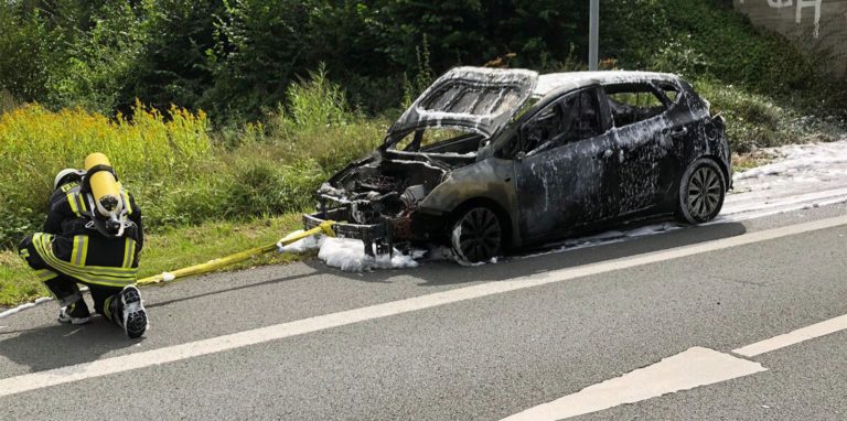 Der Pkw brannte am Samstagmittag auf der Nordlippestraße völlig aus. Die Insassen konnten sich in Sicherheit bringen.