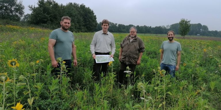 Über die Blühflächen und Blühstreifen freuen sich (v.l.) Daniel Übbert, Christoph Kappenberg, Dr. Franz-Peter Kreutzkamp und Benedikt Lünemann.