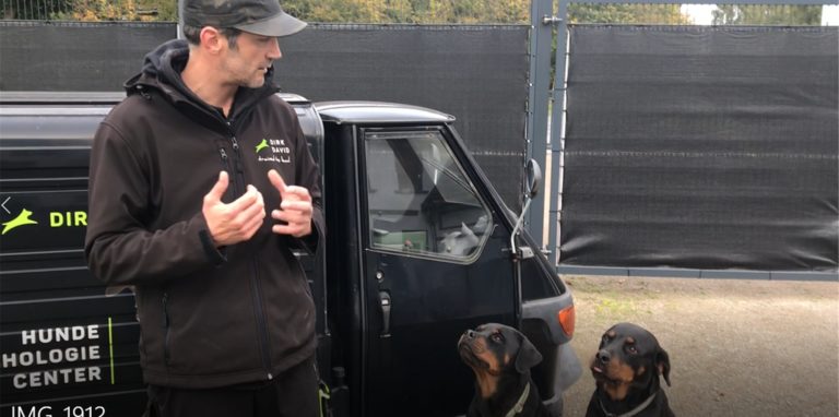 Dirk David Schmitt erklärt im Video, was bei verhaltensauffälligen Hunden zu tun ist.