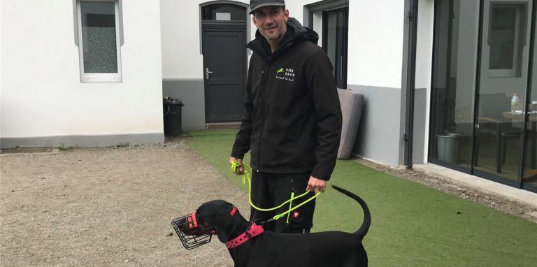 Dirk David Schmitt mit Härtefall Dobermannhündin Lilli.