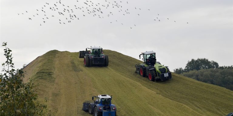Traktoren bearbeiten den riesigen Maisberg. Der Mais ist für die Vergärung in der Biogasanlage der Bioenergie Lünen GmbH & Co. KG im Stadthafen bestimmt.