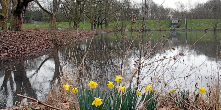 Der Bornekamp – hier ein Bild vom Teich in der Nähe des Tatorts – ist ein idyllisches Gebiet zum Spazierengehen. Doch immer wieder tummeln sich dort auch Entblößer und andere Triebtäter.