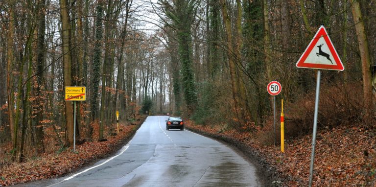 Die Bergstraße im Schwerter Wald.