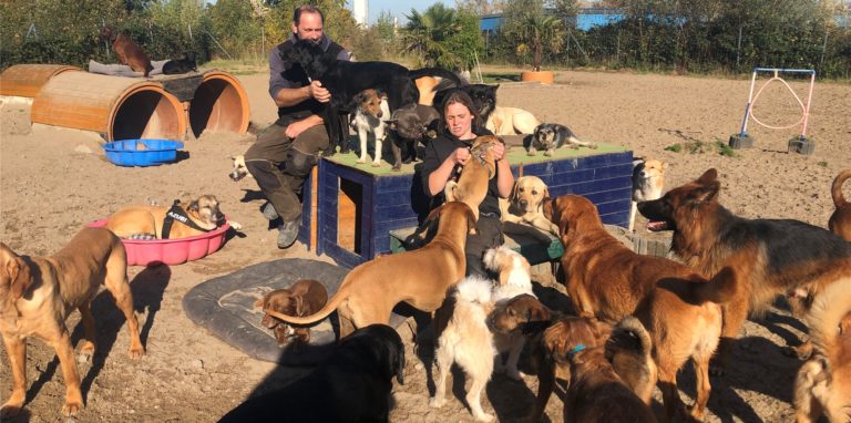 In der Huta Canidos in Dorstfeld müssen die Tierpfleger Nina Fischer und Jens Klister viele Streicheleinheiten verteilen.