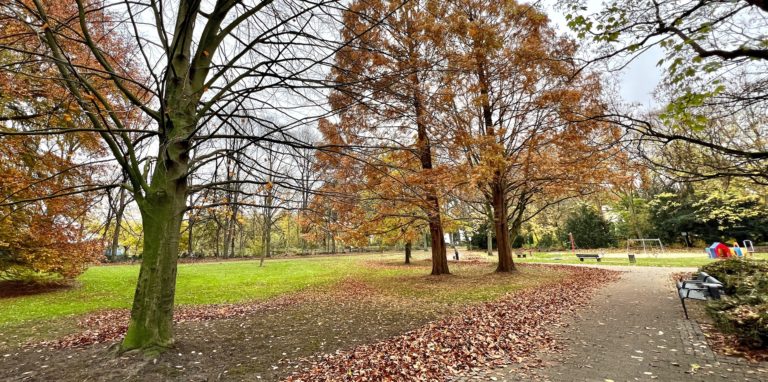 An dieser Stelle im Kurpark könnte das größere von zwei geplanten Gradierwerken entstehen. Bis es so weit ist, wird aber noch viel Zeit vergehen – unter anderem für detaillierte Planungen und die Lösung möglicher Baumkonflikte.