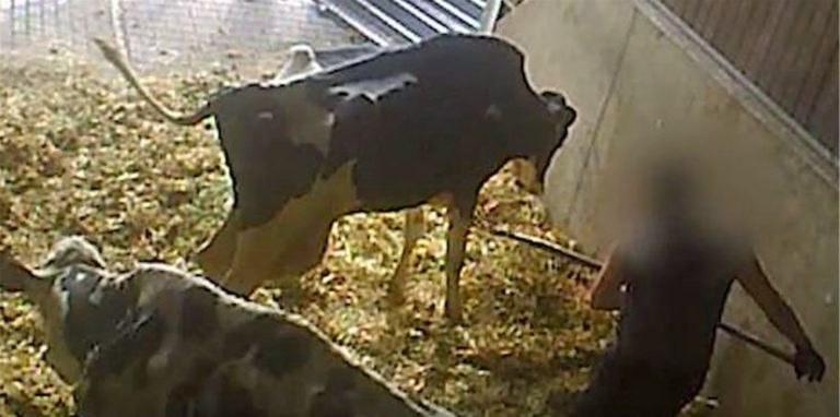 Die Soko Tierschutz hatte in Werne und Selm Tierquälereien aufgedeckt. Die Beschwerde des Vereins bei der EU-Kommission wurde abgewiesen.
