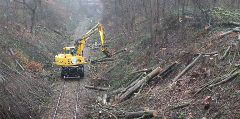 Die Bahntrasse Schwerte-Iserlohn wird in diesen Tagen freigeschnitten.