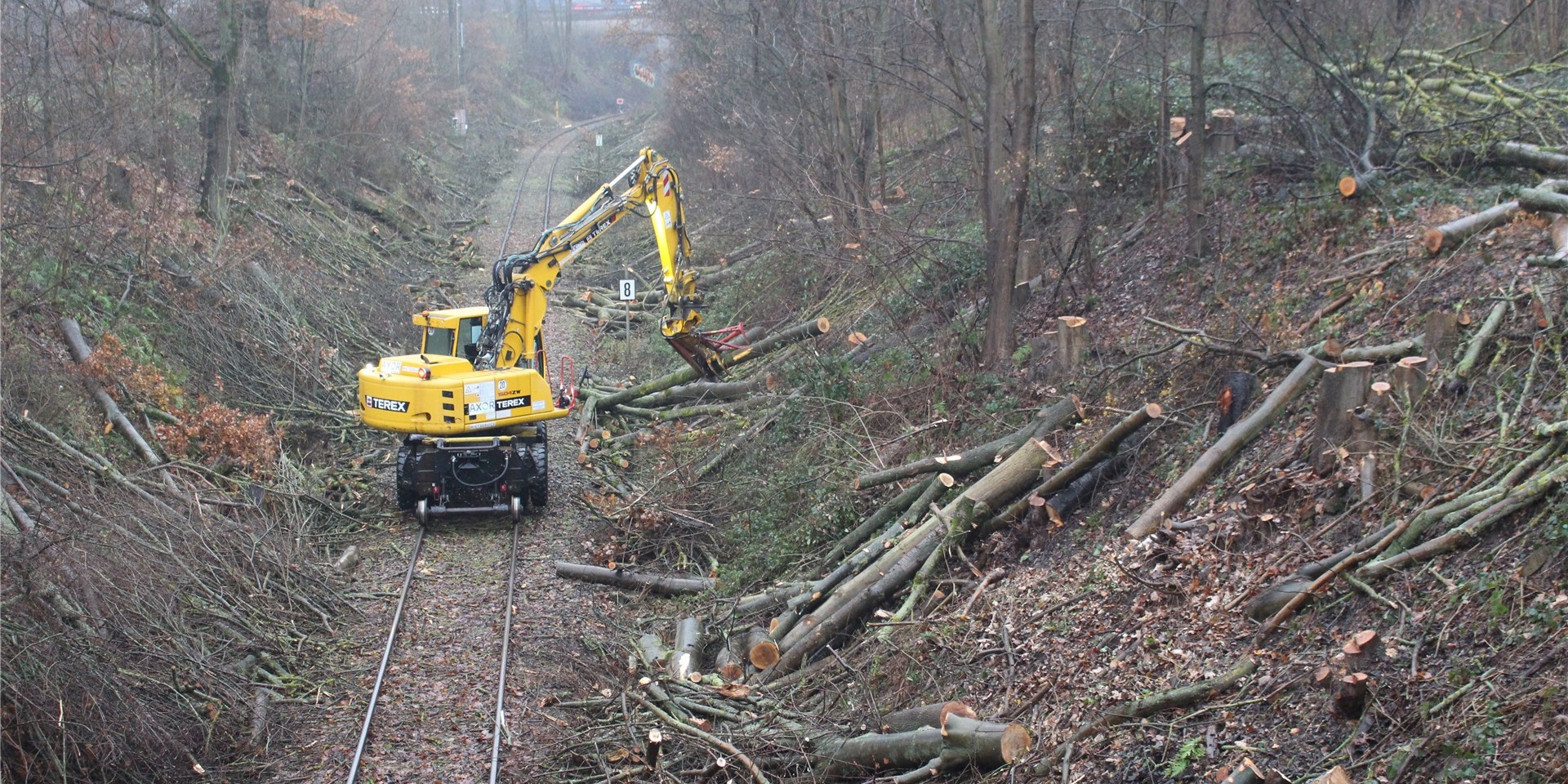 Die Bahntrasse Schwerte-Iserlohn wird in diesen Tagen freigeschnitten.