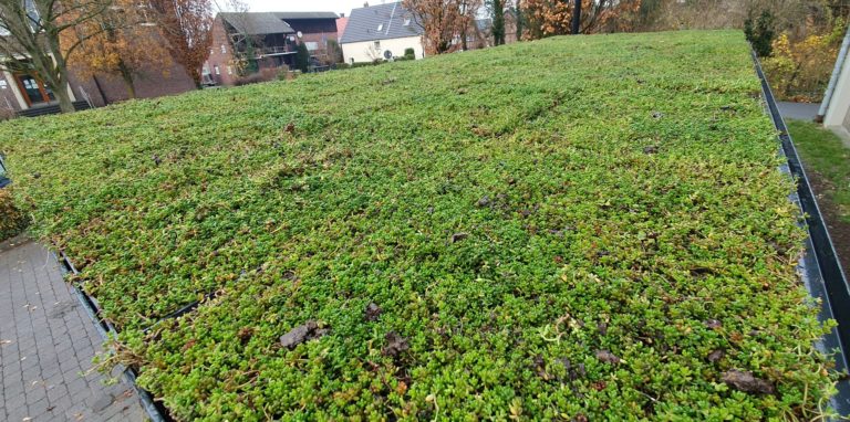 Die kommunalen Fördergelder für Dachbegrünungen und Photovoltaik-Anlagen wurden beschlossen. Zuvor gab es jedoch Irritationen im Ascheberger Rat, weil die FDP zu diesem Thema eine Kehrtwende eingelegt hatte.